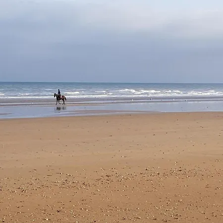 Appartement Cabourg près de la plage Extérieur photo