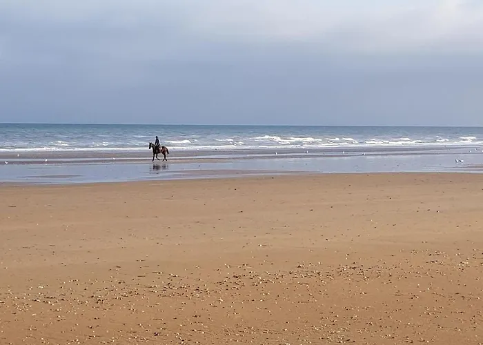 Appartement Cabourg Pres De La Plage